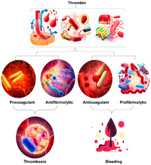 JCM |-Text | Decoding Sepsis-Induced Disseminated ...