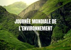 Journ%C3%A9e%20mondiale%20de%20l'environnement%202024%20%7C%20UPDF