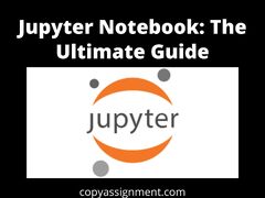 Project Jupyter (Jupyter Notebook)