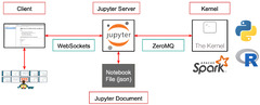 Workshop%201.1:%20Jupyter%20Notebooks%20Introduction