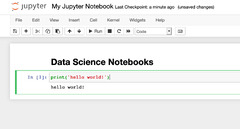 Jupyter Notebook (Google Search)