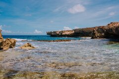 The Ultimate Eco Guide to Bonaire Island (Dutch Caribbean)