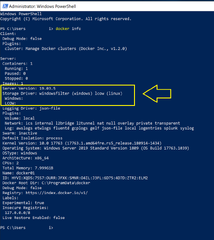 PowerShell (Windows Server 2019)