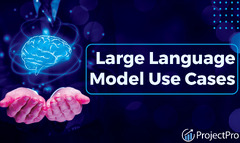 Large Language Model