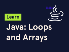 Learn Java: Loops and Arrays