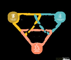 The Large-Scale Scrum (LeSS) framework | Atlassian