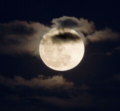 Full Wolf Moon lit up sky last night – here is the best time to see it ...