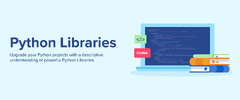 Python Libraries & How Are They Used?