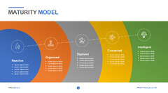 Maturity Model