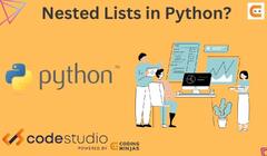 Nested List in Python