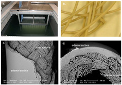 Membranes |-Text | Ultrafiltration Membranes System: A ...