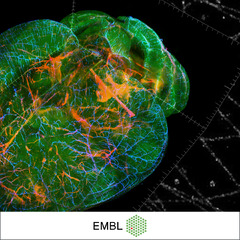 Advanced fluorescence imaging techniques – Course and Conference ...