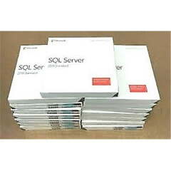 Microsoft SQL Server (Microsoft SQL Server 2019 Standard)