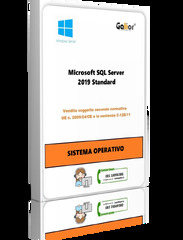 Microsoft SQL Server 2019 Standard (Microsoft Windows Server 2022 Standard)