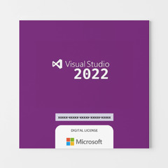 Microsoft Visual Studio 2022 Professional (Microsoft Visual Studio 2022 Enterprise)