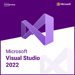 Microsoft Visual Studio 2022 Professional (Visual Studio)