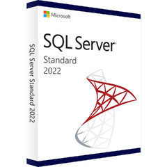 Microsoft SQL Server 2022 Standard (Microsoft SQL Server)