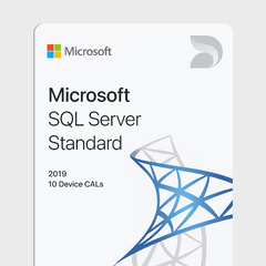 Microsoft SQL Server (Microsoft SQL Server 2019 Standard)