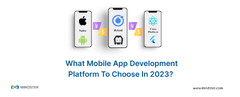 What%20app%20development%20platform%20to%20choose%20in%202024