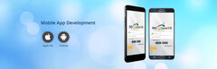 Application Development - Impex Solutions