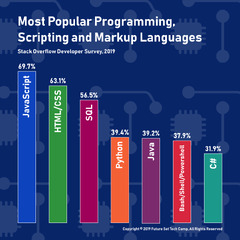 Infographic%20-%20Most%20Popular%20Programming%20Languages%20of%202019%20%E2%80%94%20Future%20...