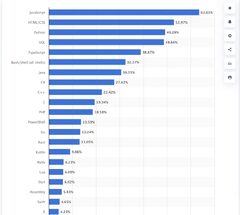 Top 10 Programming Languages For Software Development 2024