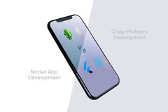 Cross-Platform vs Native App Development Services | Binmile