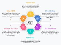 NET 8 Software Development Services for Business Solutions