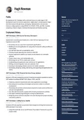 NET Developer Resume Examples & Guide for 2024