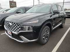 2021 Hyundai Santa Fe (2023 Hyundai Santa Fe Plug-In Hybrid)