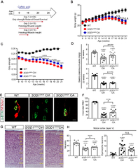 Multi-omic analysis of selectively vulnerable motor neuron ...