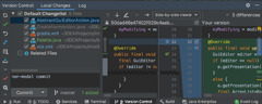 IntelliJ IDEA (WebStorm)