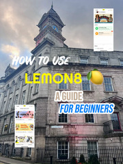 How to Use Lemon8 Photo Studio - Lemon8 Search