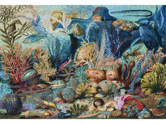 Puzzle Michèle Wilson - Sommerville Ocean Life - Wood - A1032-650 (Ocean Life Sea Creatures Sea Life 1859 Fine )