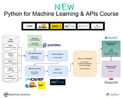 Python%20for%20Machine%20Learning%20and%20APIs%20%7C%20Business%20Science%20University