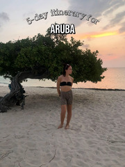 Mini Aruba Itinerary - Lemon8 Search