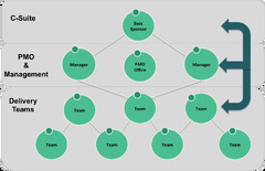 Agile Team Structure