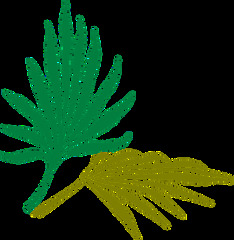 Free Palm Branch Vector - 24+ Palm Branch Icons ...