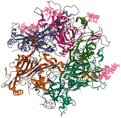 Pathogens |-Text | Targeting Mitochondrial Therapy in ...