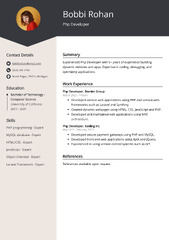 Php Developer CV Examples (Template & 20+ Tips)