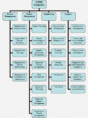 Capability Maturity Model Integration Process area Software ...