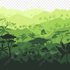 Tropical Rainforest PNG, Forest Landscape Tropical ...