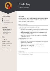 Program Developer CV Examples (Template & 20  Tips)