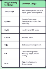 What%20programming%20language%20should%20you%20learn%20first?