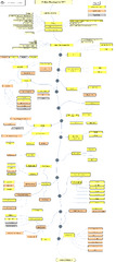 Python Developer Roadmap