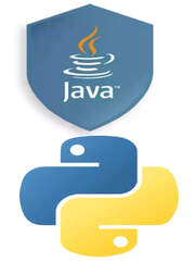 Python, Java, C  : Top 10 most popular programming languages in 2023