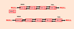 Doubly Linked List