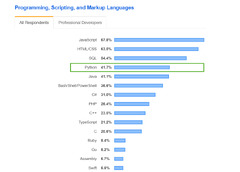 Top%20Programming%20Languages%20&%20Frameworks%20for%202020-2025%20%7C%20Leobit