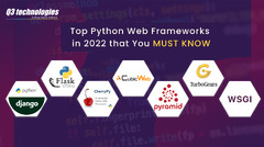 Top 8 Python Web Frameworks for Web Development in 2022