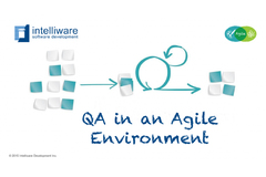 Intelliware Agile Environment